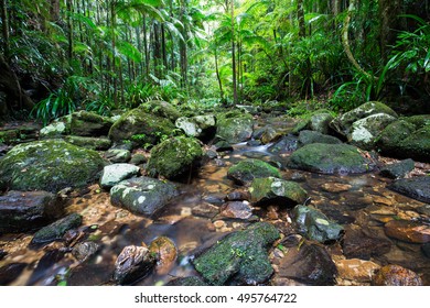 Gold Coast And Tweed Coast Hinterland Waterfalls, Australia