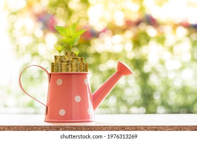 Gold Coin Seed Plant Growing Value With Savings Put In The Water Tank On The Wooden Vintage In Public Park, Business Investment Or Loan As Working Capital Management For Asset Concept.