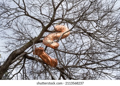 Gold Colored Balloons In The Shapes Of The Digits 1 And 2, Stuck Up A Leafless Tree.