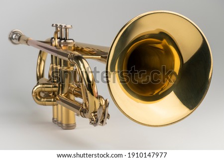 Gold colored trumpet as an isolated musical instrument against a white background in a studio
