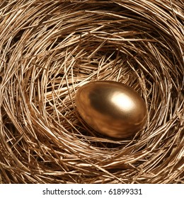 Gold Egg In A Gold Nest