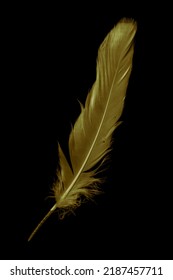 Gold Feather Goose On A Black Isolated Background