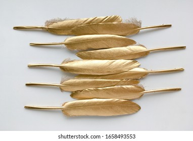 Golden Feather Images, Stock Photos & Vectors | Shutterstock