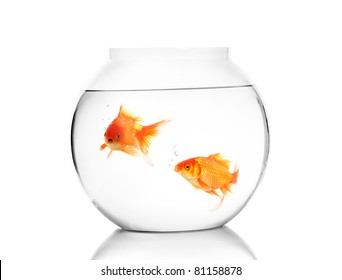 Gold Fish With Bowl Isolation On The White