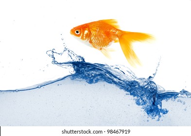 Gold Fish Jumping Over Slash Blue Water