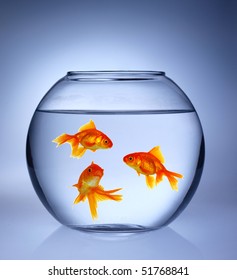 Goldfish Jumping Out Fishbowl Stock Photo (edit Now) 52958233