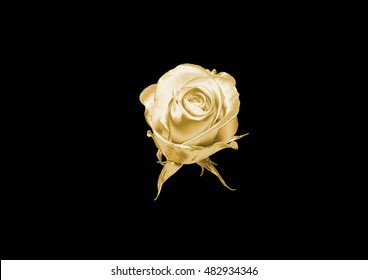 51,270 Gold flower black background Stock Photos, Images & Photography ...