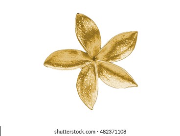 
Gold Flower On A White Background .