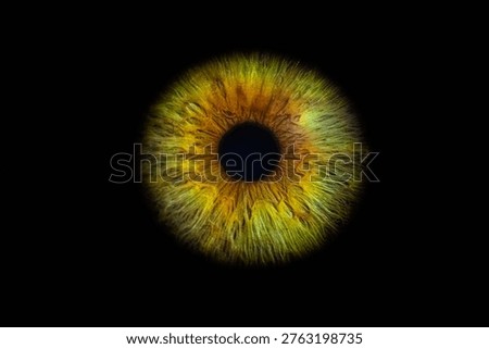 Gold iris ring for security. Isolated gold iris ring emphasizes biometric security technology display. Minimalist depiction of biometric iris scanner with high contrast and reflective surface
