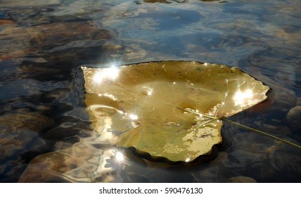           Gold Leaf