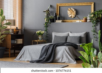 Gold Leaf In Frame On The Wall Above Grey Bed With Dark Blanket In Elegant Bedroom Interior