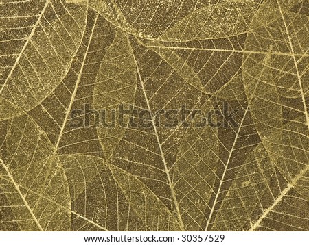 Gold leaf skeleton background over silk