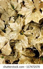 Gold Leafs Of A Poinsetta