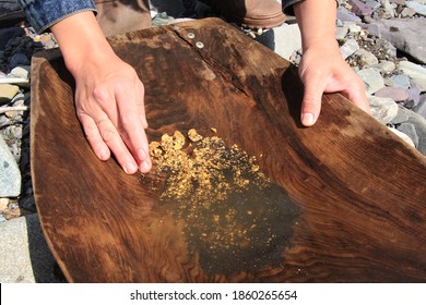 Gold Mining.  Russia, Buryatia, The Village Of Bagdarin.