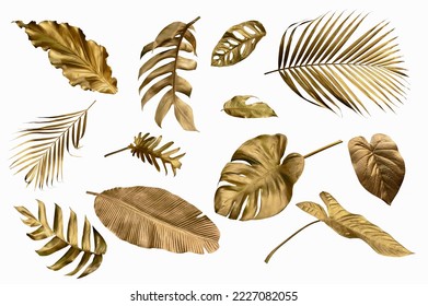 Gold monstera leaves plant frame isolated on a white background. top view. copy space. abstract.