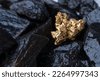 gold nugget real