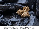 Gold Nugget mining from the River in Austria, real Gold