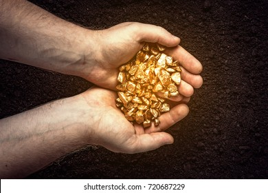 Gold nuggets the hands of the miner.  The working hands of a peasant with pure gold. top view