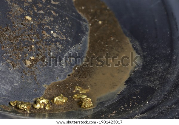 gold nuggets in a metal gold\
pan