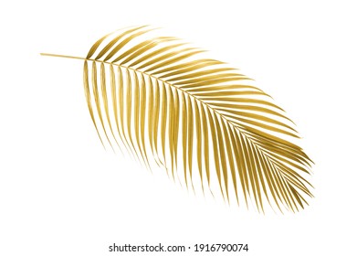 Gold Palm Leaves Isolated On White Background.