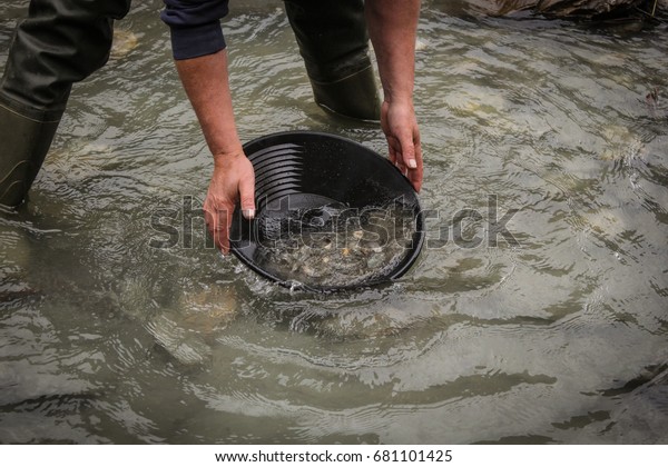 gold panning in a glacial river\
in Austria, separate heavy and light material, searching\
gold