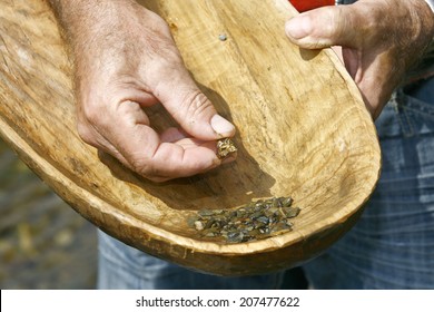 Gold Panning With Old Wooden Pan