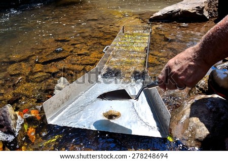 Gold panning in a river with a sluice box