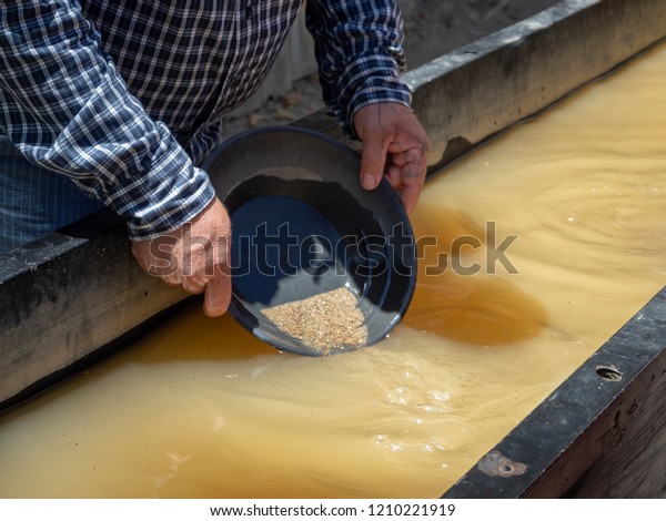 Gold panning, Town of Columbia, Gold County,\
California, USA