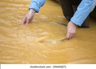 Gold Panning, Gold Washing In The River