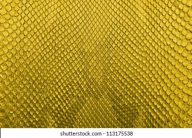 11,787 Snake Gold Skin Images, Stock Photos & Vectors | Shutterstock