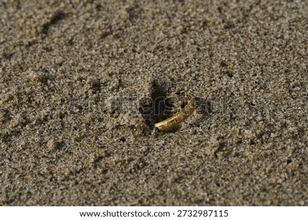 A gold ring lost in the sand. Lost or found jewelry. A macro shot of a gold ring partially buried in beach sand, suggesting lost treasure or a romantic find.