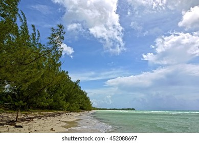 Gold Rock Beach, Grand Bahama. BAHAMAS.