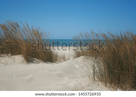 Similar – Image, Stock Photo Dune with sea view Freedom