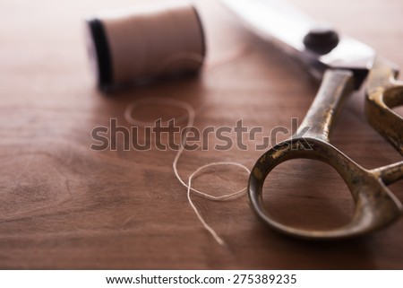 Similar – Image, Stock Photo Fashion designer cutting clothes patterns at her studio