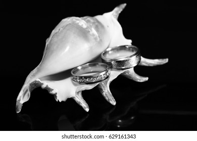 Gold wedding ring and shell on black background