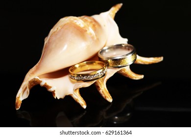 Gold wedding ring and shell on black background