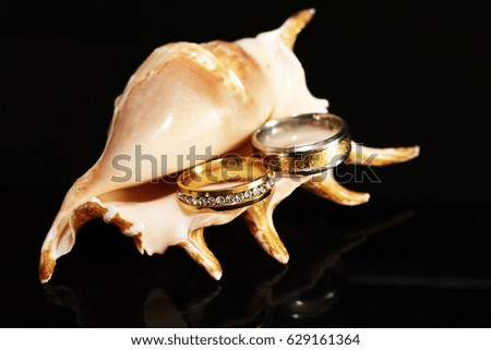 Gold wedding ring and shell on black background