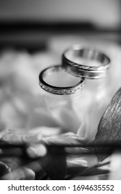 gold wedding rings as an attribute of a young couple's wedding