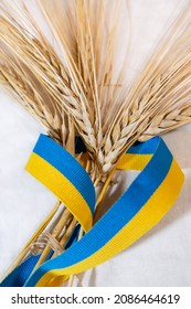 Gold wheat straws spikes bunch wrapped in yellow and blue, Ukrainian national flag colors, ribbon on white cloth background. Agriculture harvest sheaf from summer field. Vertical