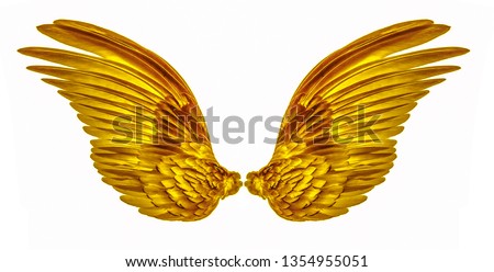 gold wing of bird on white background
