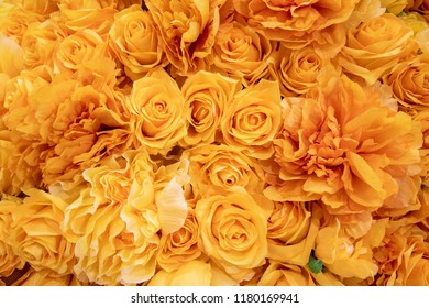 Gold Yellow Color Rose Background Stock Photo (Edit Now) 1180169941