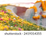 Gold yellow flower decorated on Chinese graveyard with colorful flower and ribbon on green grass field on Qingming festival or Tomb sweeping day to respect to ancestor. Chinese memorial name concept.