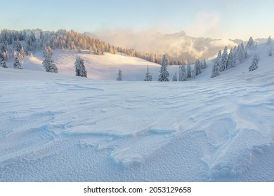 Golden afternoon light over the magical winter landscape of Dobratsch Natural Park with beautiful snow and ice patterns from the harsh cold wind, Villach, Carinthia, Austria