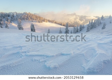 Golden afternoon light over the magical winter landscape of Dobratsch Natural Park with beautiful snow and ice patterns from the harsh cold wind, Villach, Carinthia, Austria