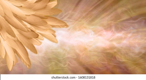 Golden Angel Feather Message Banner Background - a pile of random long golden feathers in left corner against a gaseous flowing energy field shaped like a giant feather with copy space
