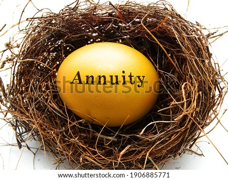 Golden Annuity egg in a bird's nest, on white