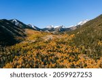 Golden Aspen grove with snow-covered mountains in Arizona, aerial photo