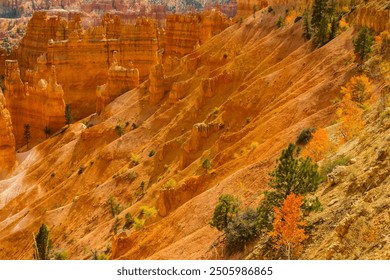 Golden Aspen Trees on The Cliffs of Wall Street From Sunrise Point, Bryce Canyon National Park, Utah, USA - Powered by Shutterstock