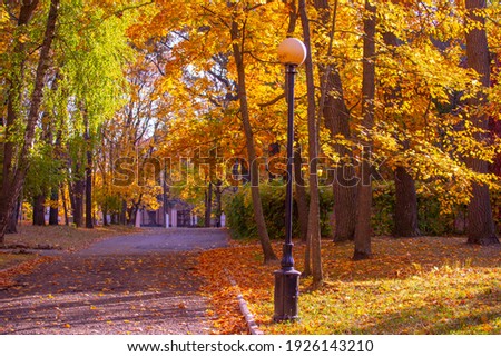 Golden autumn in the city park on a bright sunny day
