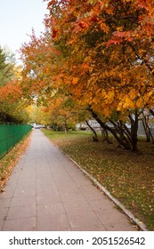 Golden Autumn In City Park, Seasonal Landscape, Beautiful Nature, Time For Romantic Walking. Tree Alley In Fall Background